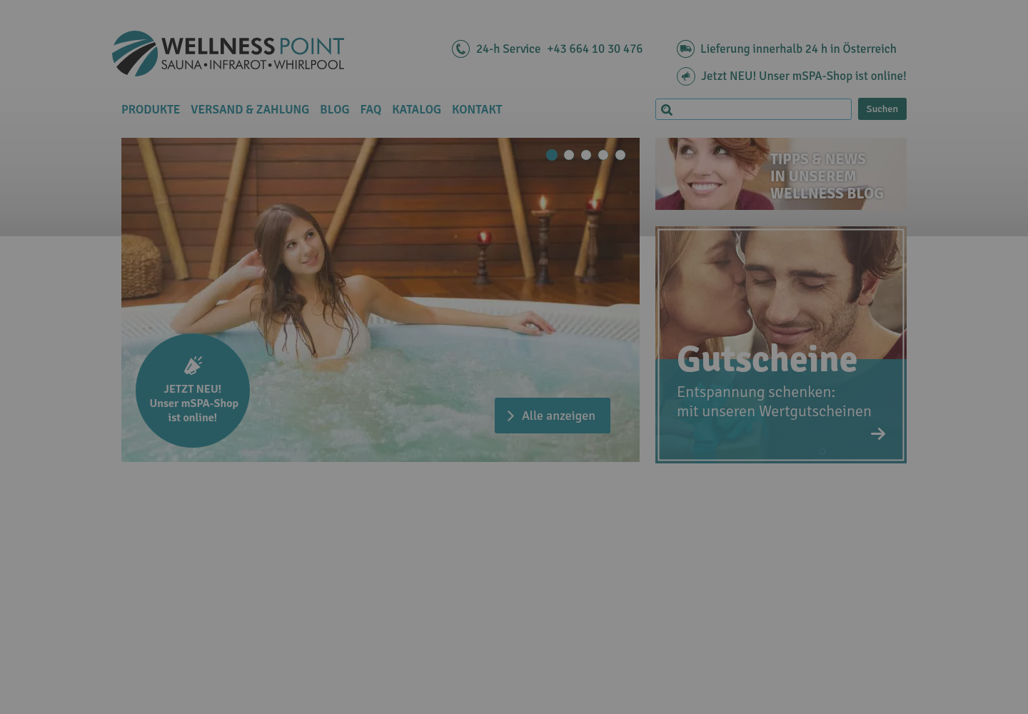 Screenshot der Website von Wellness-Point